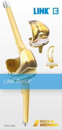 LINK PorEx Teaserflyer
