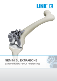 Extrabone - Flyer