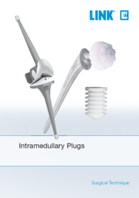 Intramedullary Plugs